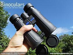 Snypex Knight ED Hunting 10x50 Optic Binoculars 9050-ED - SNYPEX